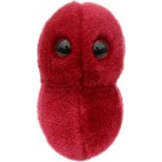 MIKROBY - MASKOTKA ANGINA (STREPTOCOCCUS)