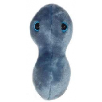 MIKROBY - MASKOTKA RZEŻĄCZKA (NEISSERIA GONORRHOEAE)