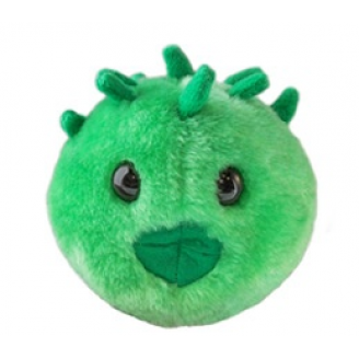 MIKROBY - MASKOTKA CHLAMYDIA (CHLAMYDIA TRACHOMATIS)