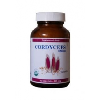 KENAY CORDYCEPS SINENSIS 60 KAPSUŁEK