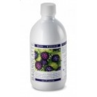 PLANTER'S MLECZKO DO KĄPELI WYGŁADZAJĄCE Z EKSTARKTEM Z JEŻYN  500 ML